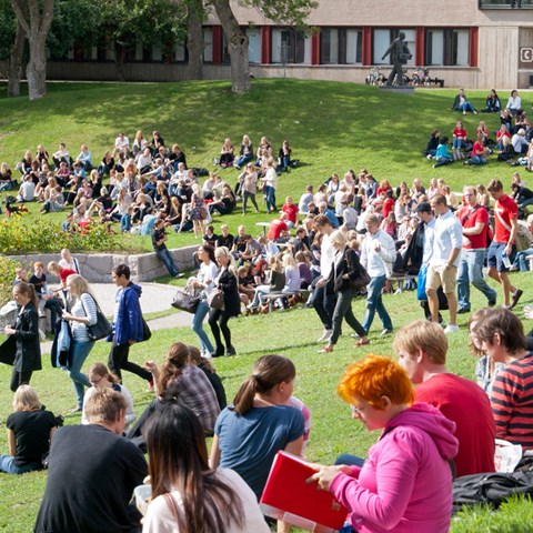 Många studenter som sitter på en grässlänt