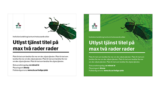 Two job advertisements with SLU's logo in the top left corner, Headline, thick horizontal line below it and a few lines of text, application deadline and web address. An illustration of a beetle in forest green. The ad appears in two different designs, one with a white background with black text and one with a chlorophyll green background with white text.