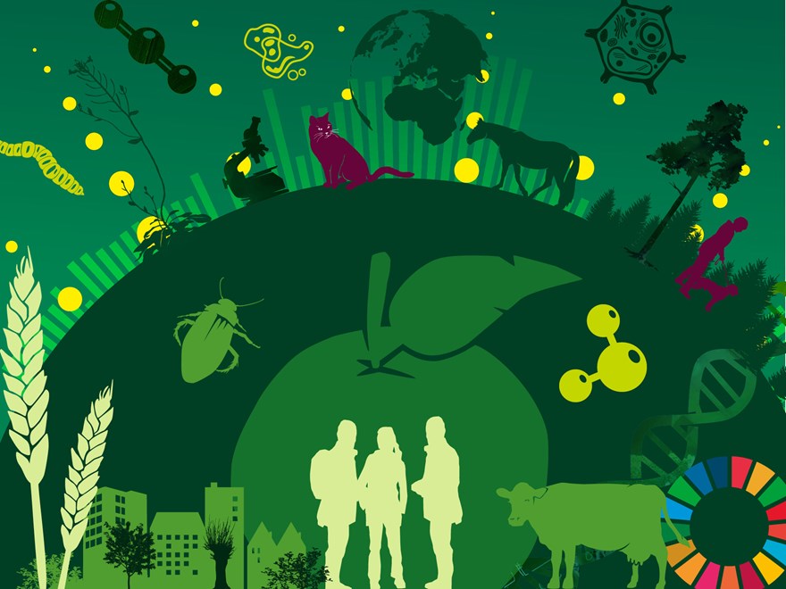 Ett kollage av olika ämnesillustrationer i olika nyanser av grönt.