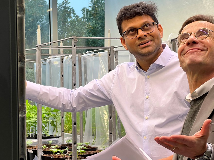 Two men i a greenhouse are looking up and looking impressed and happy