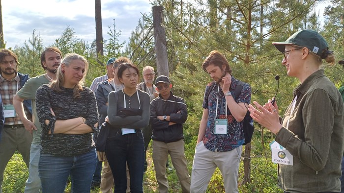 Presentation of PhD project in forest. Photo. 