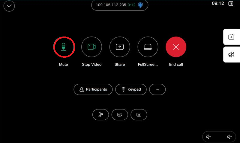 Cisco Mute