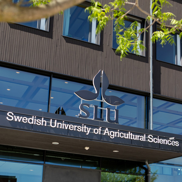 Entré till SLU