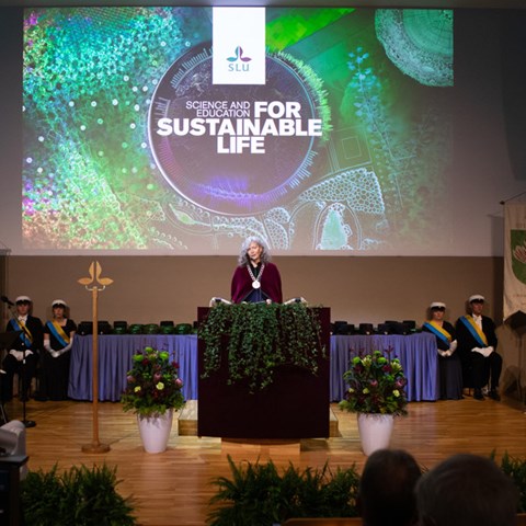 En person står på en scen vid en talarstol. Bakom personen syns en färgglad kollagebild med SLU:s logotyp samt texten Science and education for sustainable life.