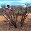 A man is standing next to a bush in Kenya