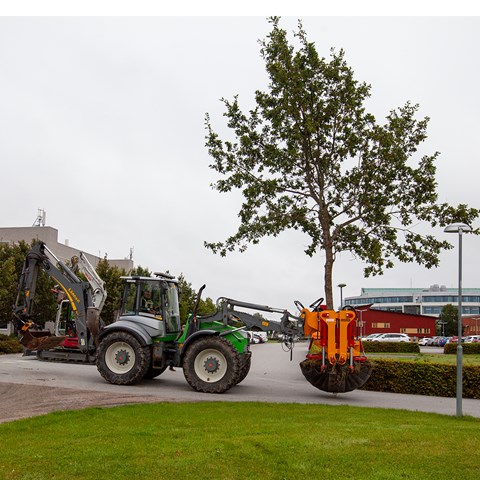 traktor flyttar träd