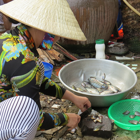 Family preparing meal of rice and fish