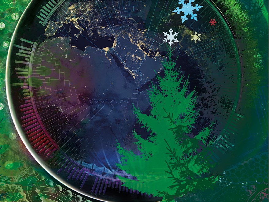 Ett sammansatt färgrikt kollage med vetenskapliga bilder och illustrationer av granar och snöflingor.