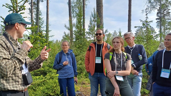 Group of participants in forest. Photo.
