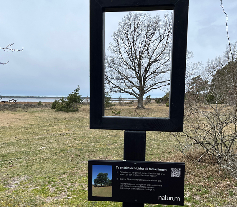 Fotopunkt Trollskogen