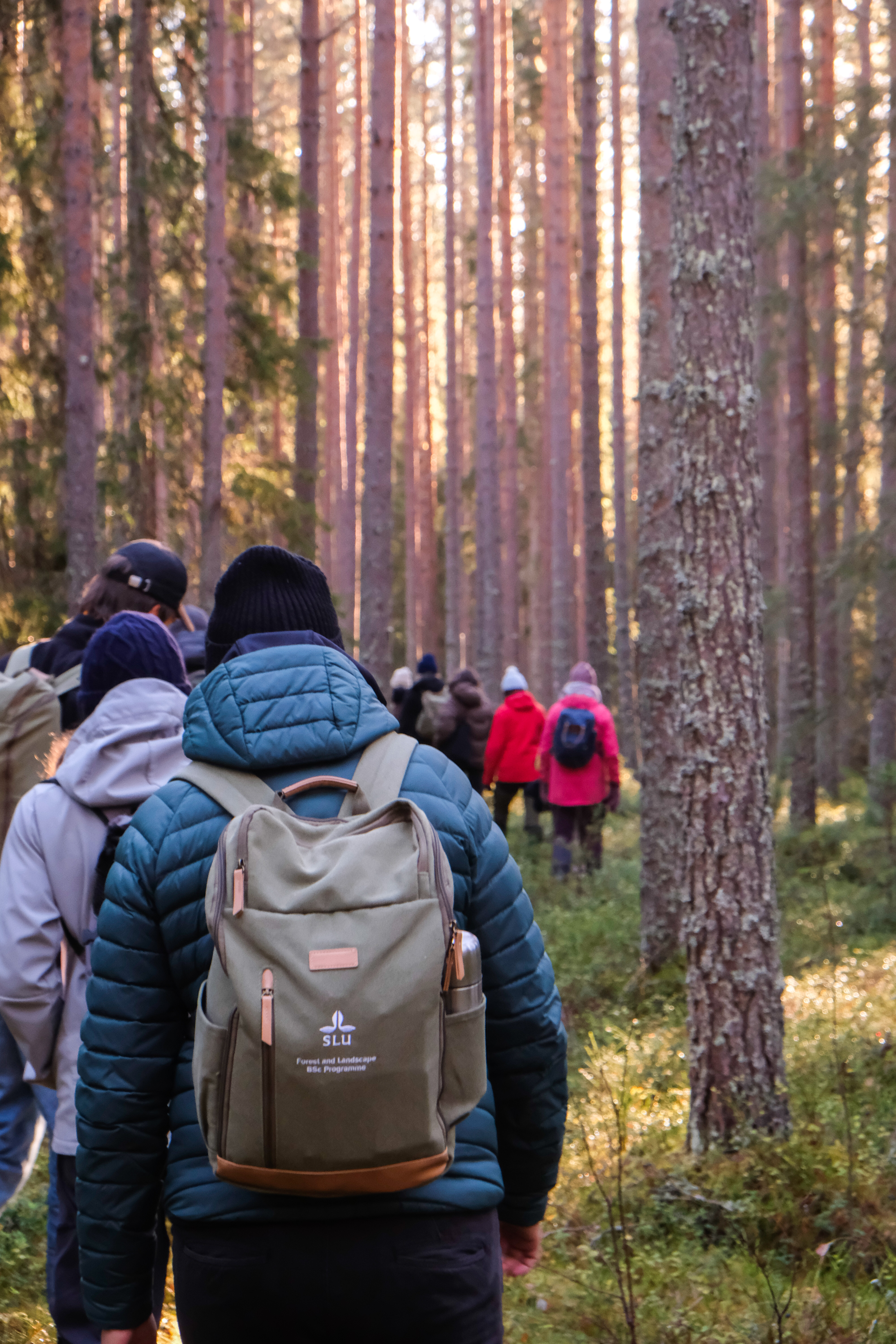 Studenter som går i skog under Forest STudent Summit 2023. Foto av Daniel Stjärna