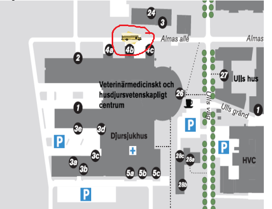 L&ouml;vstabussen.png