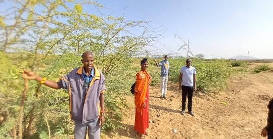 A farmer identifies camel forages with other camel keepers during field visit 