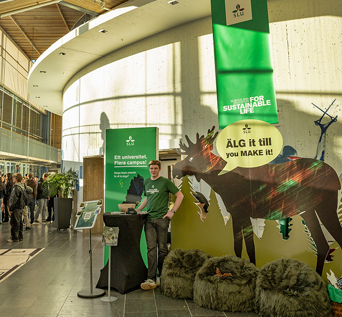En person står vid en monter i en stor, ljus byggnad med högt tak och välvda väggar. Montern har gröna roll‑ups och skyltar med SLU:s logotyp och budskap om hållbarhet. Bredvid personen finns en stor silhuett av en älg med färgade ljuseffekter och en pratbubbla med texten ”ÄLG it till you MAKE it!”. Framför montern ligger gröna, lurviga sittpuffar. I bakgrunden syns fler personer som rör sig genom lokalen, stora fönster och växter. Foto.