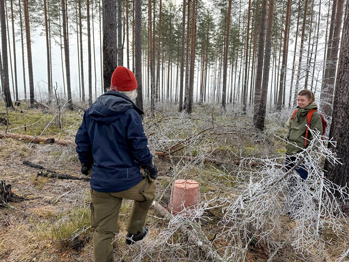 Fältarbete. Foto.