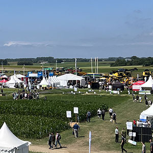 På ett fält syns tält, provodlingar och människor