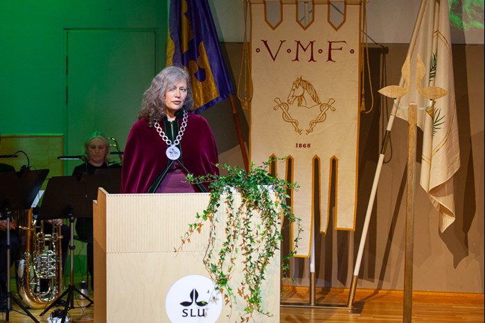 Rektor Maria Knutson Wedel står i talarstolen på scenen iförd högtidsdräkt, en stor rektorskedja och röd kåpa i sammet.