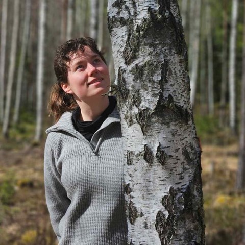 kvinna i björkskog