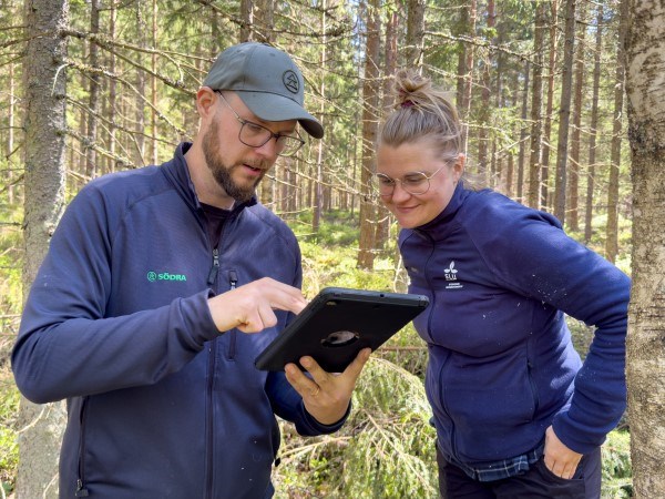 En planläggare och en forskare i skogen