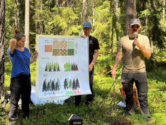 Tre forskare i skogen