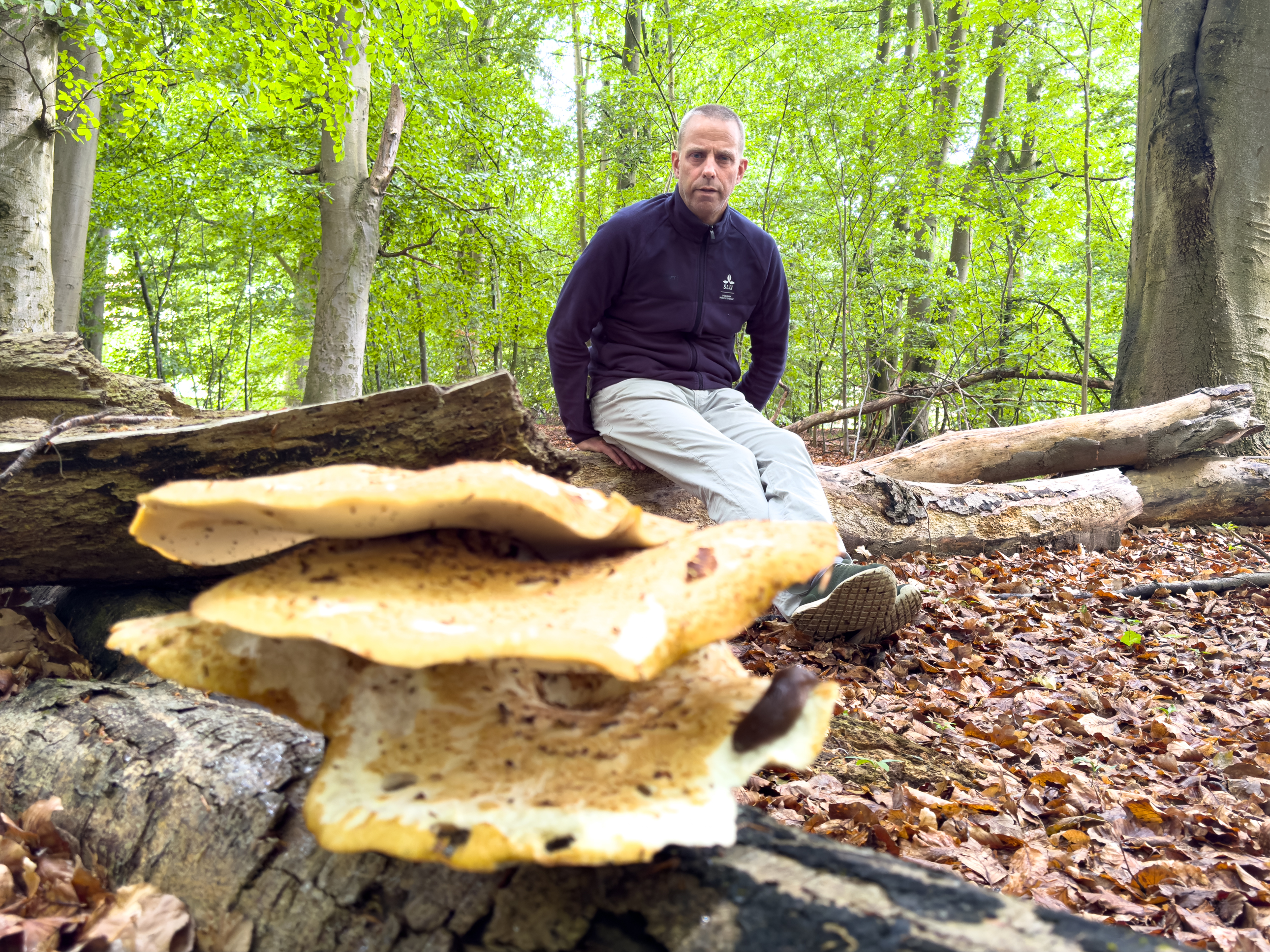 man vid en stor ticka på bokstam