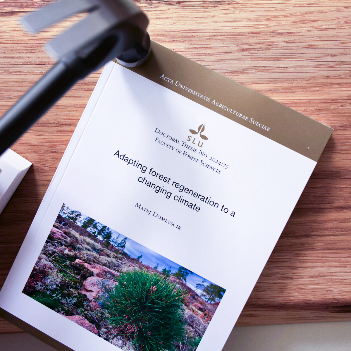 en spikad avhandling