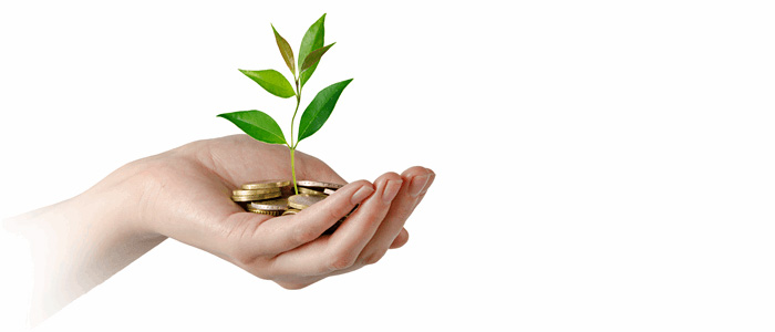 Hand som håller guldmynt och en växande grodd. Foto.