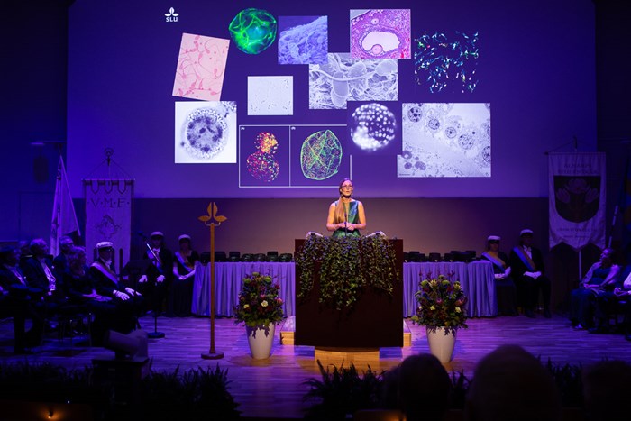 A woman in a long dress is standing on a stage giving a lecture. Above her, her presentation is visible, showing microscope images of cells and sperm.