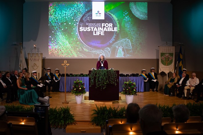 SLU's Vice Chancellor gives her opening speech on stage. 