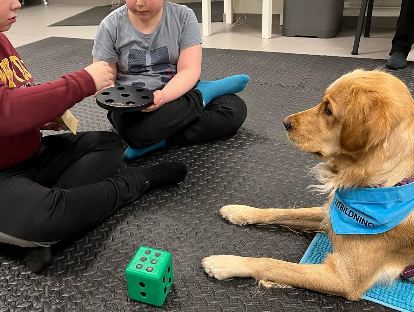 En golden retriever ligger på golvet och tittar på två barn som sitter på golvet