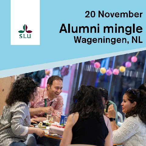 People mingling at an event. Photographer Johan Wahlgren