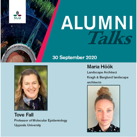 Alumni Talks talare 30 september. Foto: Mikael Wallerstedt och privat foto.