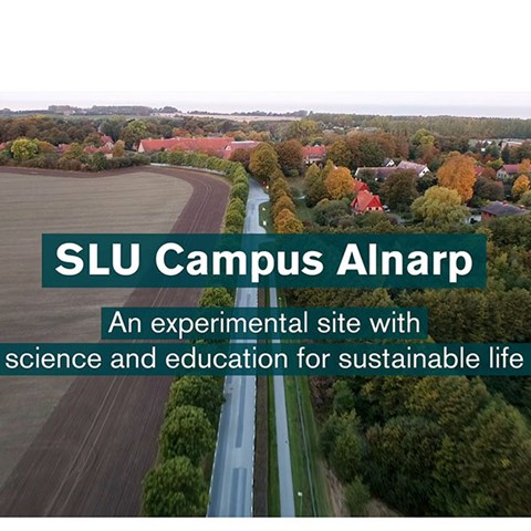 SLU Campus Alnarp - an experimental site with science and education for sustainable life