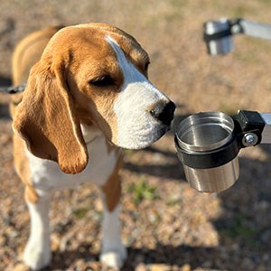 En hund nosar på en kopp med prov från fruktträdskräfta