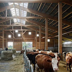 Ett kostall med bärande konstruktion av limträ