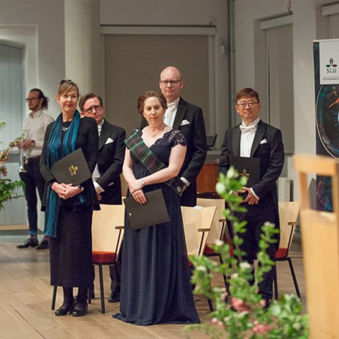 ingressbild_0712.jpg ingressbild_0712.jpg