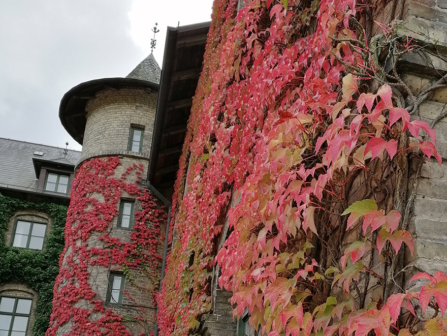 Höstfärg Alnarps slott