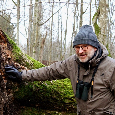 Forskaren Grzegorz Mikusiński på plats i Białowieżaskogen.