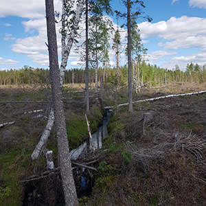 Kantzon vid vattendrag