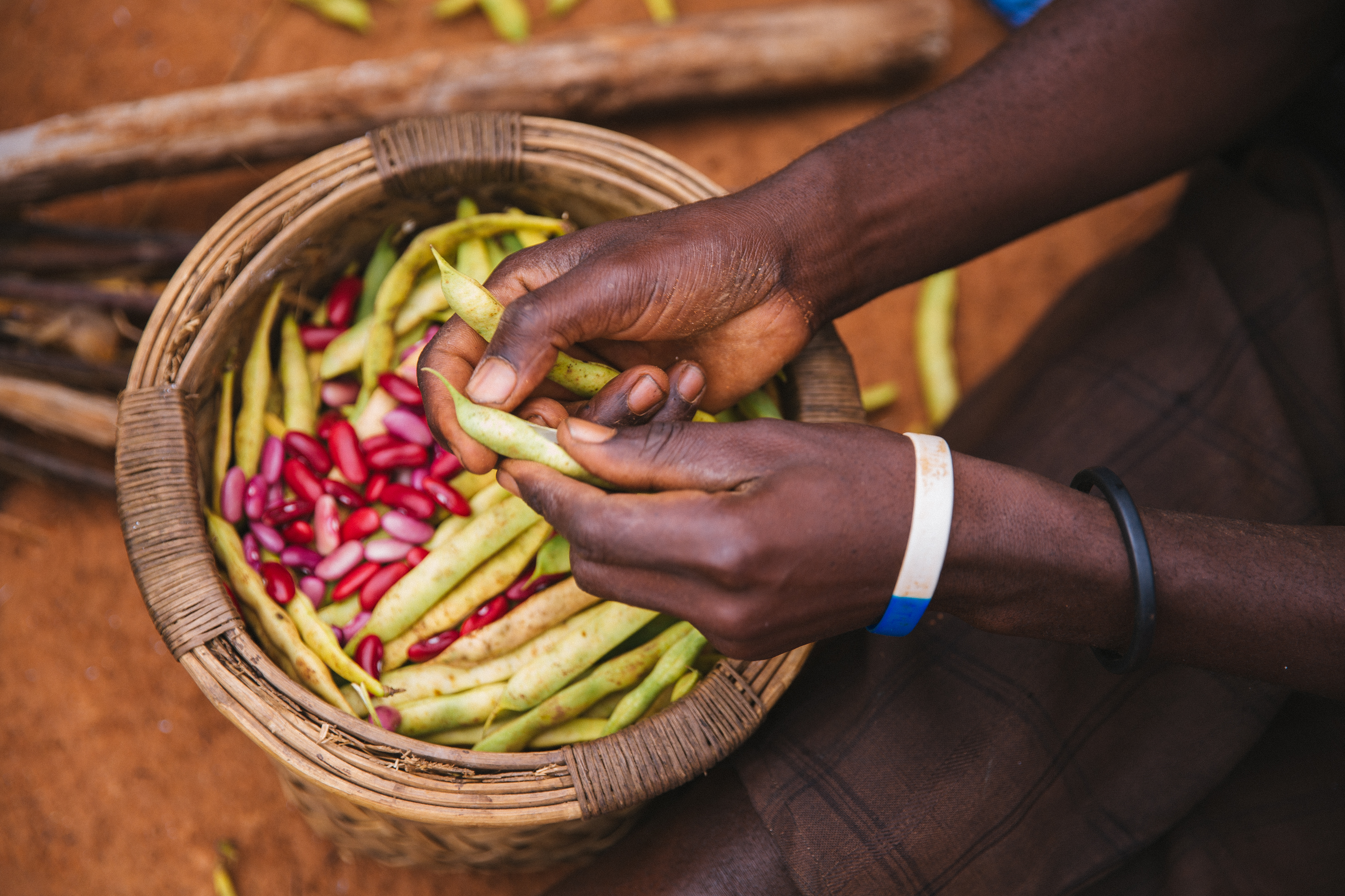 Malawi villager preparing beans