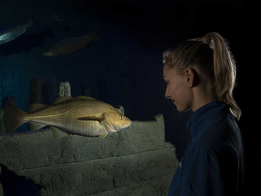 Girl and atlantic cod
