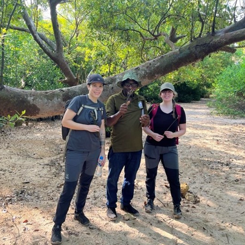 Three people in the mangroves in Tanzania