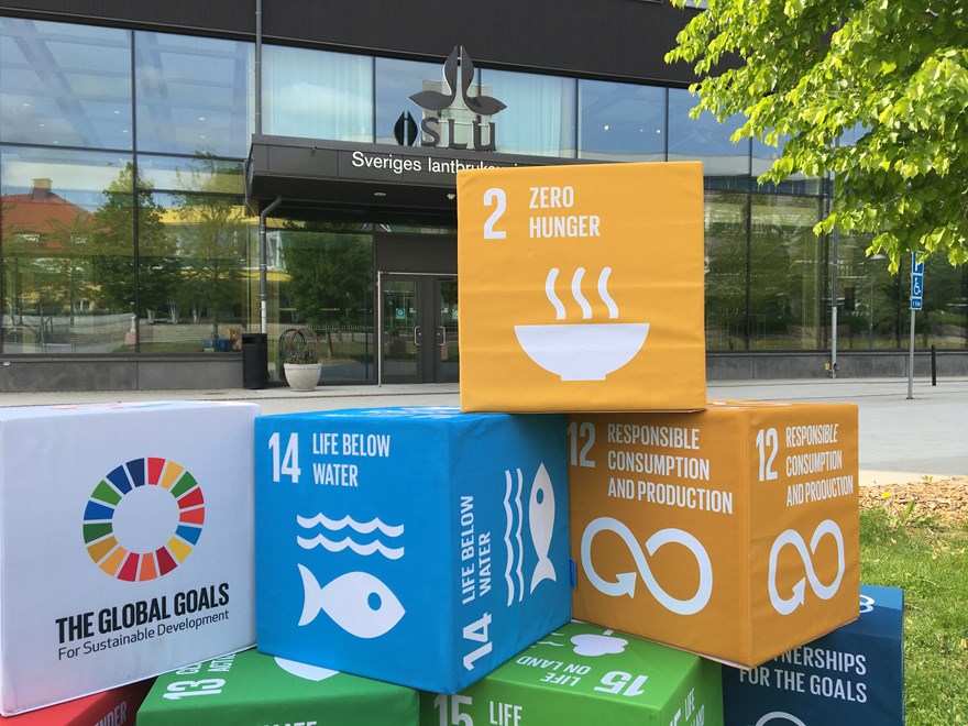SDG-kuber framför huvudentrén Uppsala