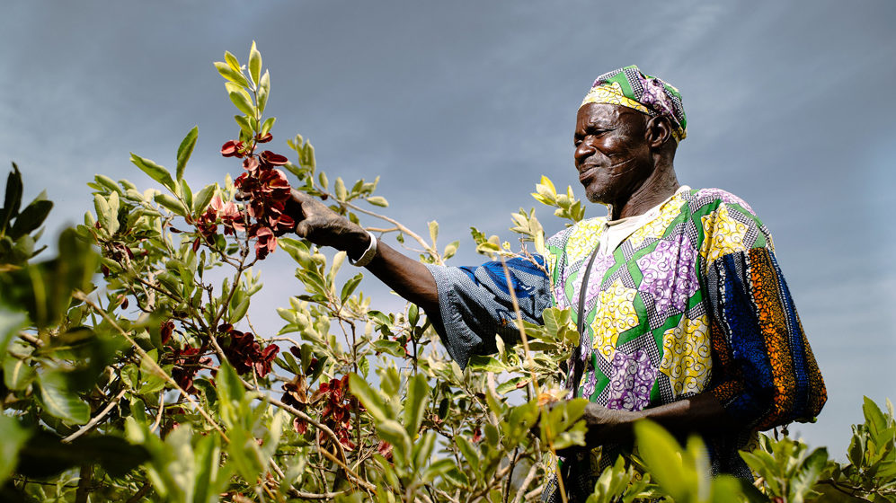 Benin Oblet, Sorobouly village near Boromo, Burkina Faso.