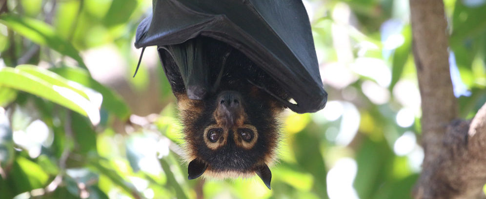 Photo: Peter Schaefer (EyeEm) / Getty Images.