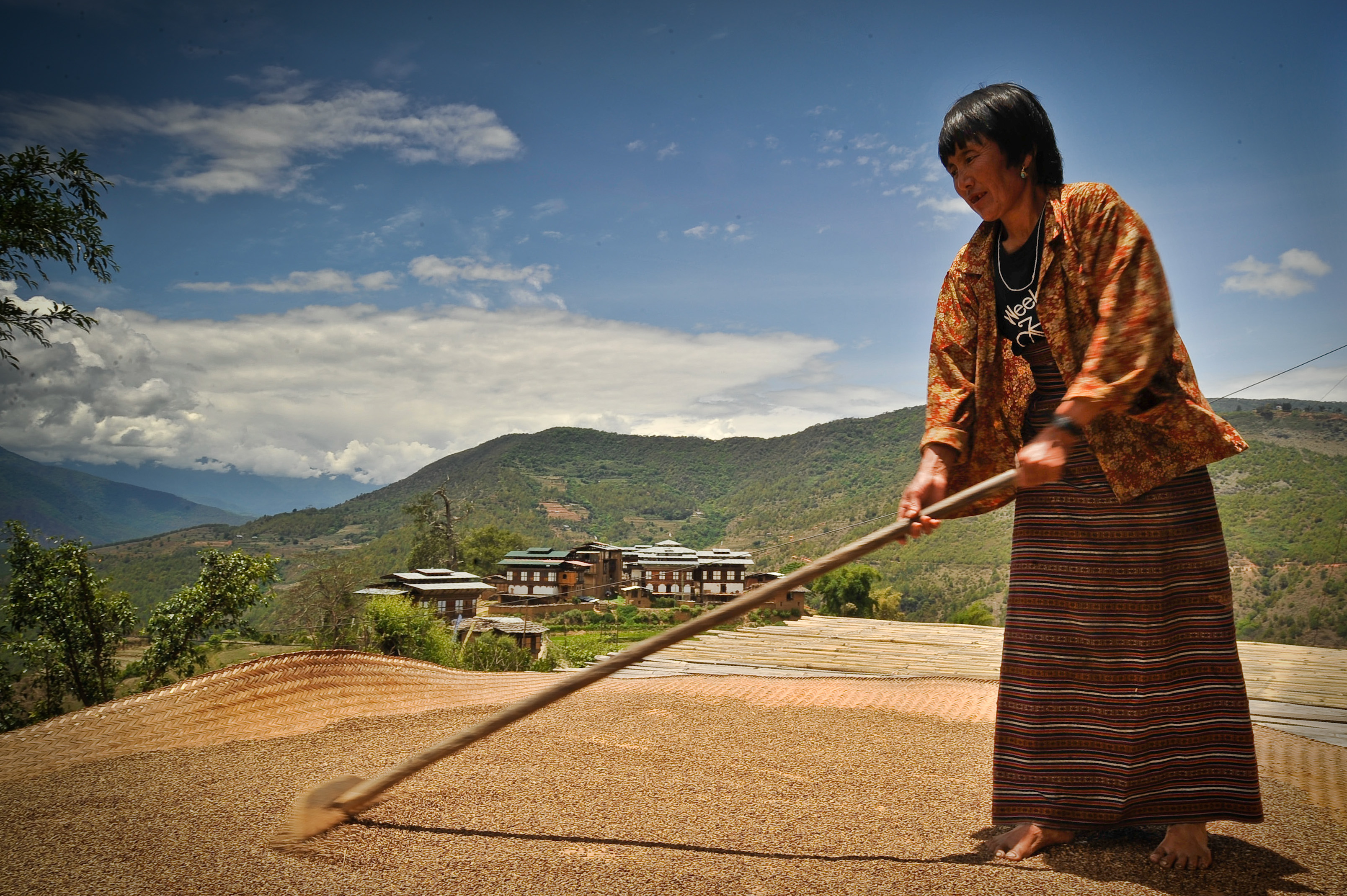 InfoPoint conference: Sustainable Food Systems Transformation in Bhutan
