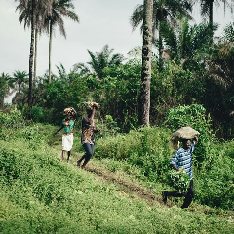 Photo by Annie Spratt at Unsplash