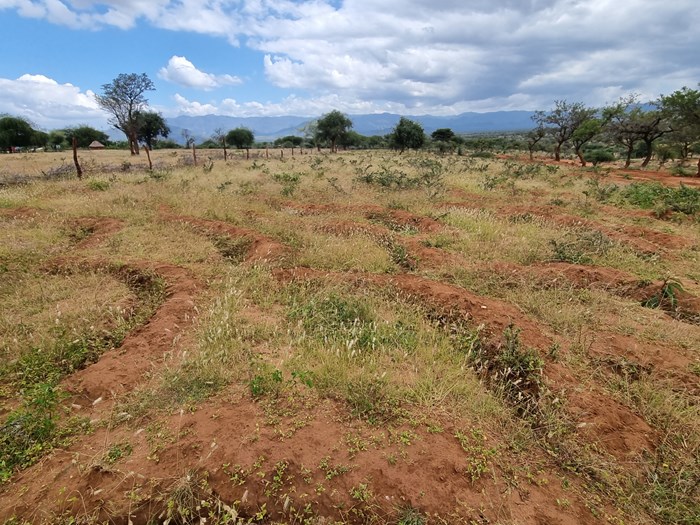 Erosion control measures have started working in Chepareria Kenya