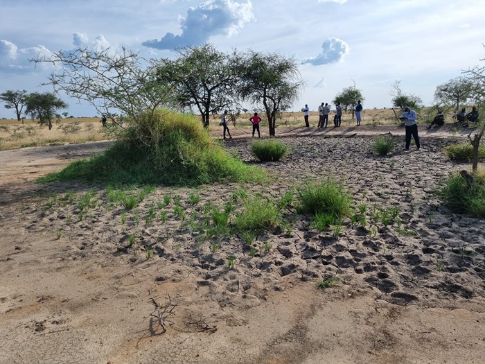 Dried waterhole with people in the background in Poron Uganda