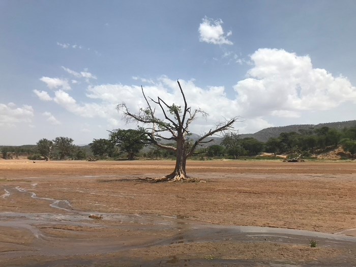 Dry riverbed in Kenya